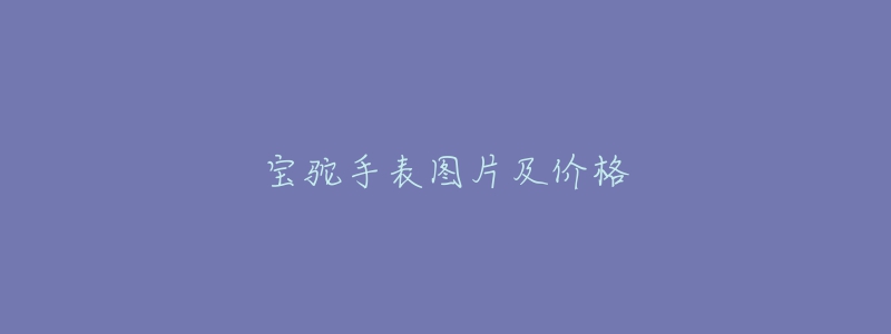 寶駝手表圖片及價格