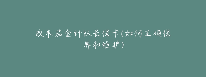 歐米茄金針隊(duì)長?？?如何正確保養(yǎng)和維護(hù))