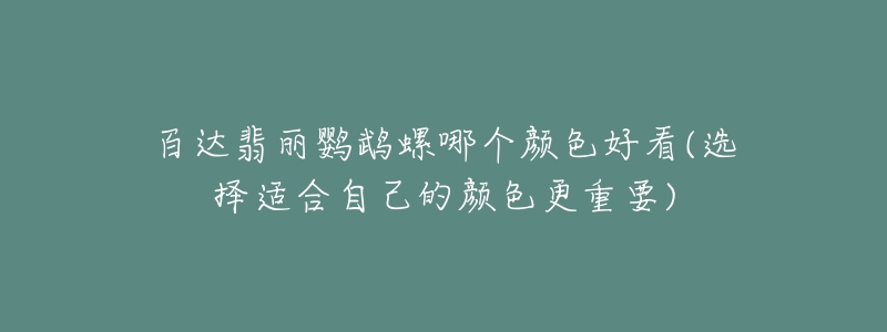 百達(dá)翡麗鸚鵡螺哪個顏色好看(選擇適合自己的顏色更重要)