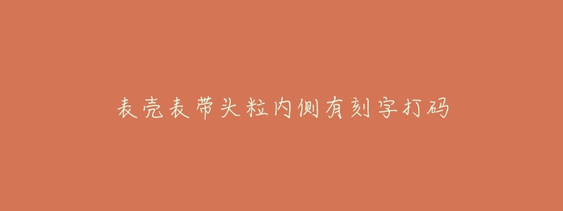 表殼表帶頭粒內(nèi)側(cè)有刻字打碼