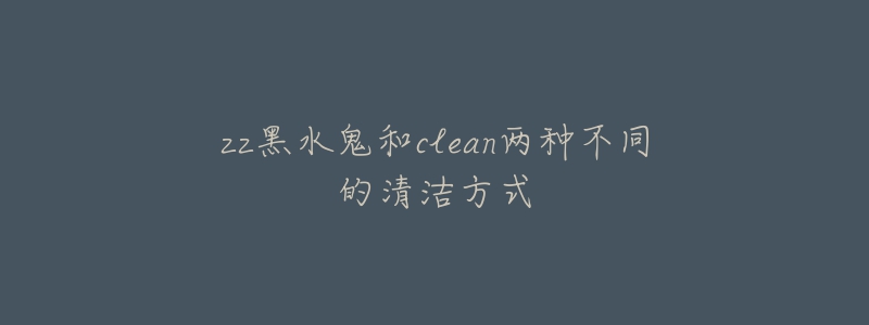 zz黑水鬼和clean兩種不同的清潔方式