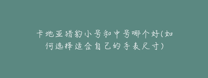 卡地亞獵豹小號和中號哪個好(如何選擇適合自己的手表尺寸)