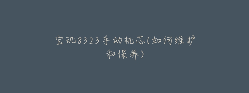 寶璣8323手動機芯(如何維護和保養(yǎng))