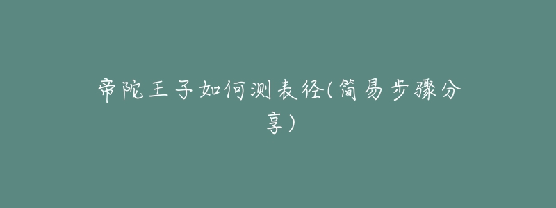 帝陀王子如何測(cè)表徑(簡(jiǎn)易步驟分享)