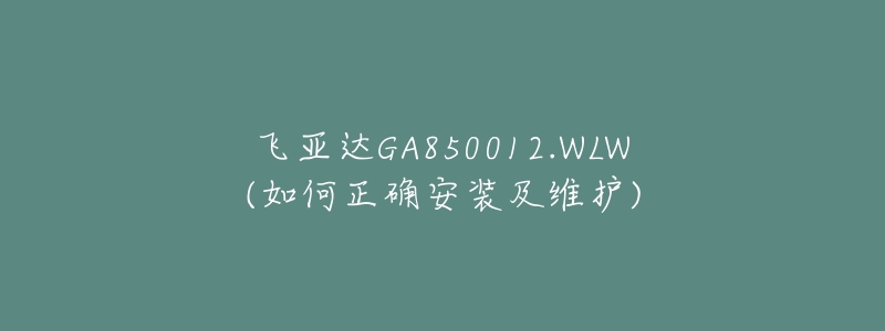 飛亞達GA850012.WLW(如何正確安裝及維護)