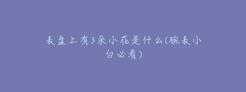 表盤上有3朵小花是什么(腕表小白必看)