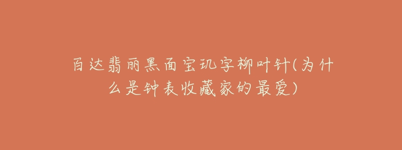 百達(dá)翡麗黑面寶璣字柳葉針(為什么是鐘表收藏家的最愛(ài))