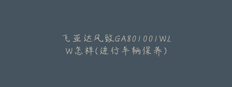 飛亞達(dá)風(fēng)致GA801001WLW怎樣(進(jìn)行車輛保養(yǎng))