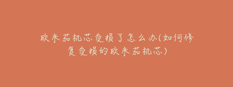 歐米茄機(jī)芯受損了怎么辦(如何修復(fù)受損的歐米茄機(jī)芯)