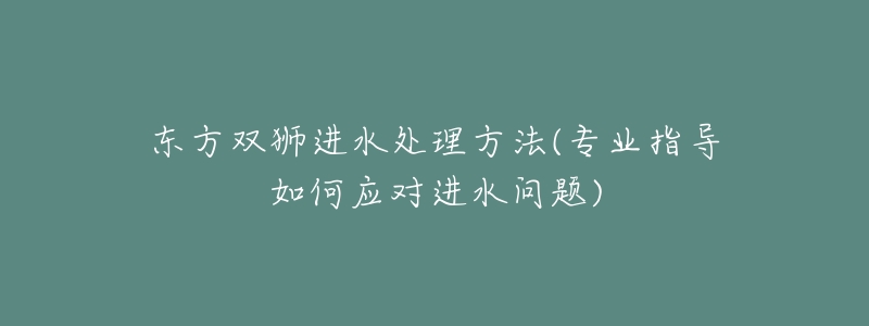 東方雙獅進(jìn)水處理方法(專業(yè)指導(dǎo)如何應(yīng)對(duì)進(jìn)水問(wèn)題)