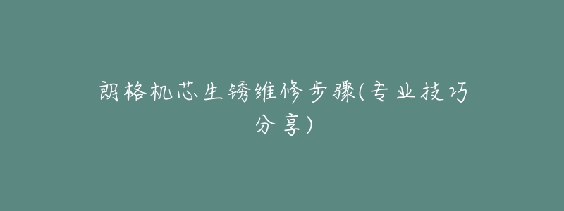 朗格機芯生銹維修步驟(專業(yè)技巧分享)