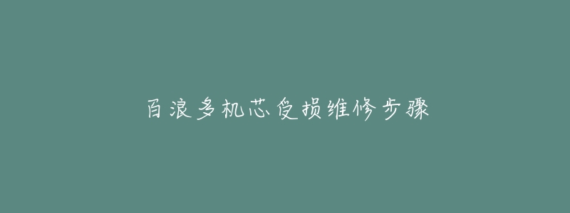 百浪多機(jī)芯受損維修步驟