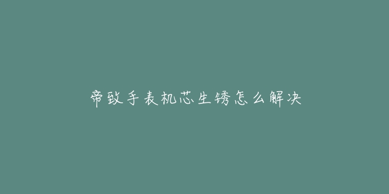 帝致手表機芯生銹怎么解決