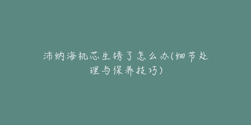 沛納海機芯生銹了怎么辦(細節(jié)處理與保養(yǎng)技巧)