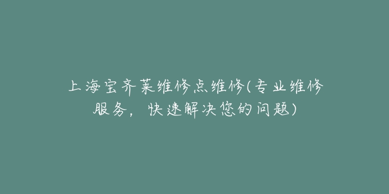 上海寶齊萊維修點維修(專業(yè)維修服務(wù)，快速解決您的問題)