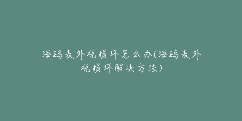 海鷗表外觀損壞怎么辦(海鷗表外觀損壞解決方法)