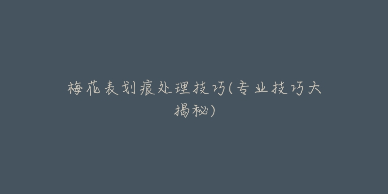 梅花表劃痕處理技巧(專業(yè)技巧大揭秘)