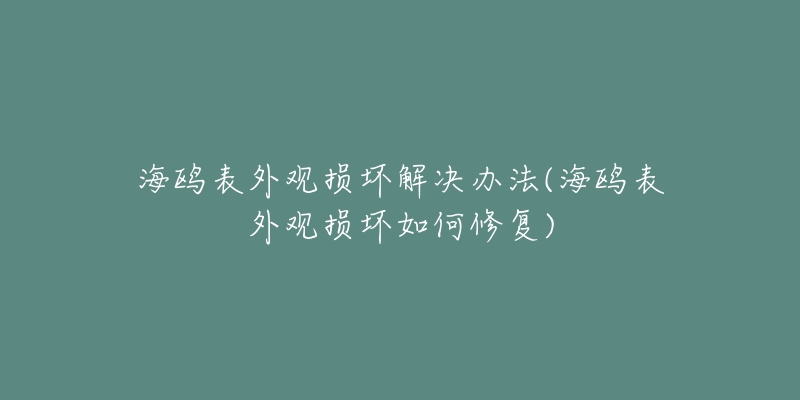 海鷗表外觀損壞解決辦法(海鷗表外觀損壞如何修復(fù))