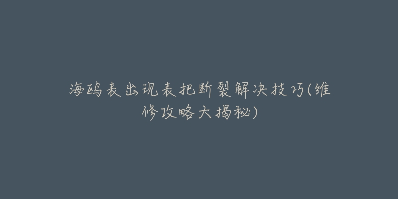 海鷗表出現(xiàn)表把斷裂解決技巧(維修攻略大揭秘)