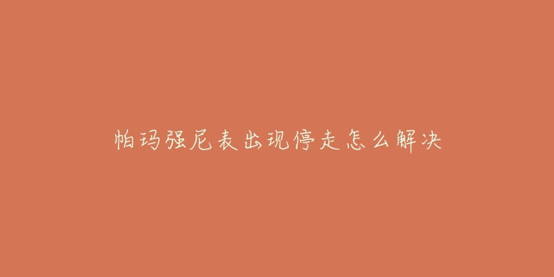 帕瑪強(qiáng)尼表出現(xiàn)停走怎么解決