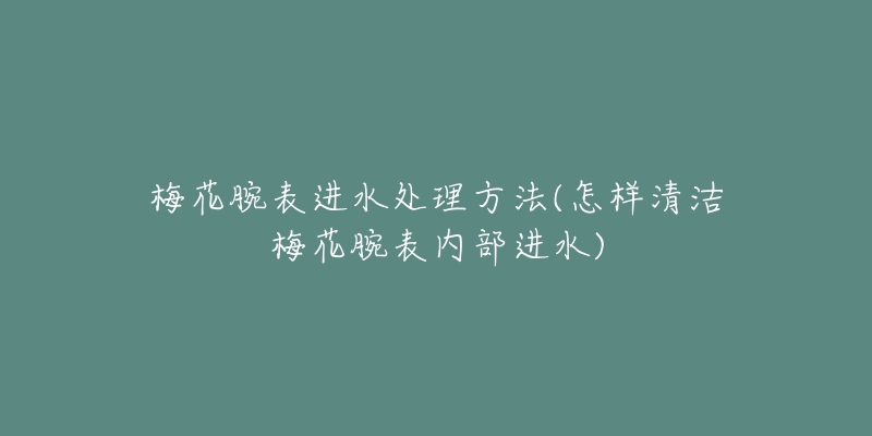 梅花腕表進(jìn)水處理方法(怎樣清潔梅花腕表內(nèi)部進(jìn)水)