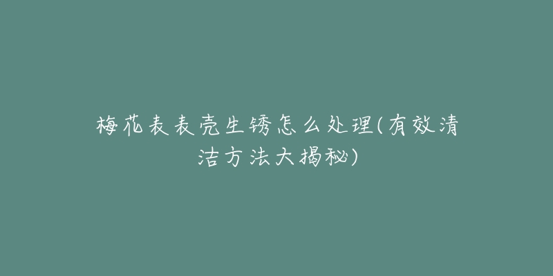 梅花表表殼生銹怎么處理(有效清潔方法大揭秘)