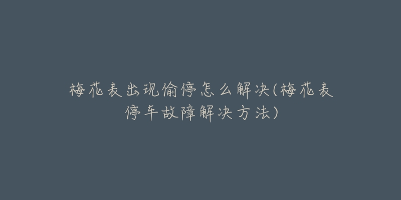 梅花表出現(xiàn)偷停怎么解決(梅花表停車故障解決方法)