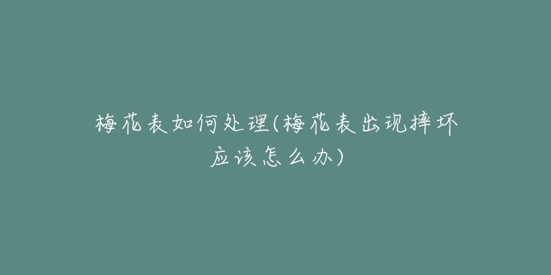 梅花表如何處理(梅花表出現(xiàn)摔壞應(yīng)該怎么辦)