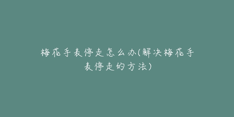 梅花手表停走怎么辦(解決梅花手表停走的方法)