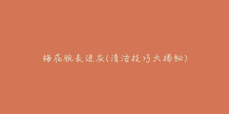 梅花腕表進灰(清潔技巧大揭秘)