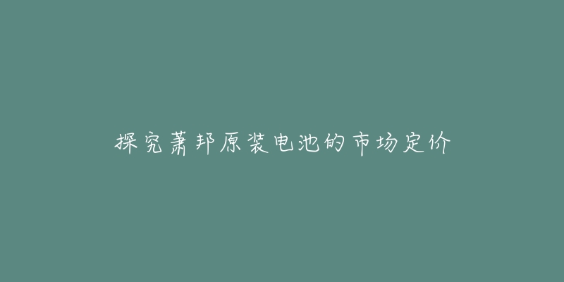 探究蕭邦原裝電池的市場定價